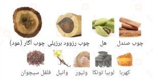 هارد_کور_وود_فراگرنس_ورد_Fragrance_world_Hardcore_Wood