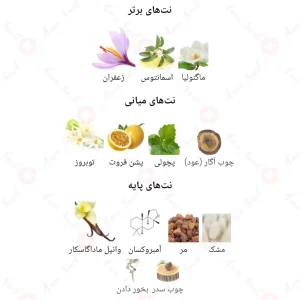 ونتی_سیلک_پرینسس_Fragrance_World_Venti_Silky_Princess