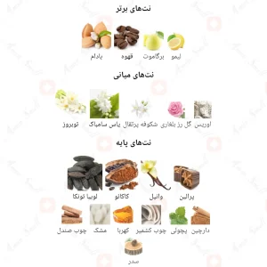چیک_گرل_فراگرنس_ورد_Fragrance_world_Chic_Girl3