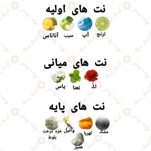 ادکلن مردانه اگو تایگر ارماف