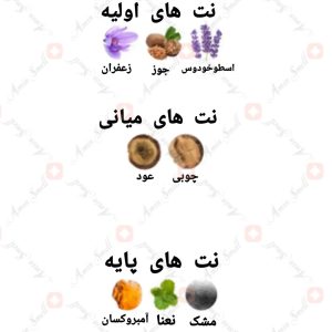 ادکلن مردانه اودیسی آعود آرماف