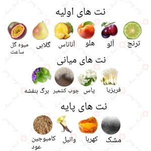 ادکلن یونیسکس کلاب د نایت عود آرماف