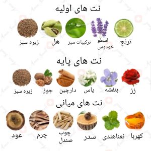 ادکلن مردانه هانتر جانگل من آرماف
