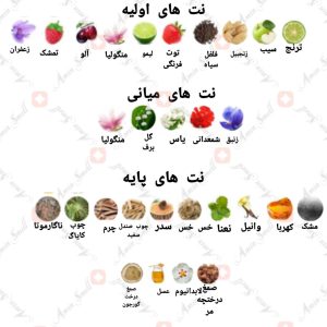 ادکلن مردانه نومد پور هوم آرماف