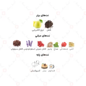 ادکلن مردانه ساویج فرگرانس ورد
