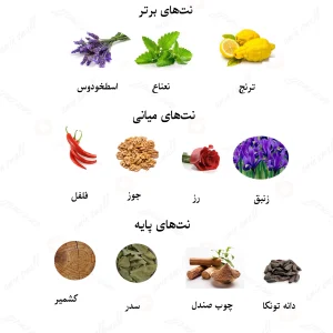 ادکلن زنانه لیوینگ لالیک
