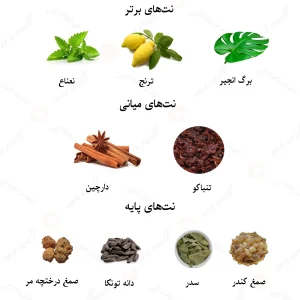 ادکلن مردانه امبر نویر لالیک