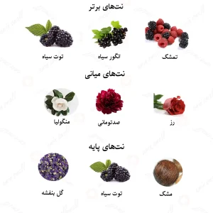 ادکلن زنانه آمیتیس اکلت لالیک