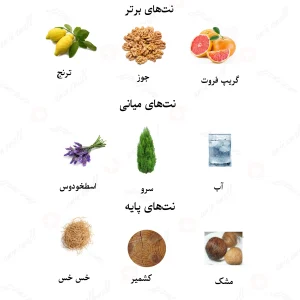 ادکلن مردانه انکر نویر اسپرت لالیک