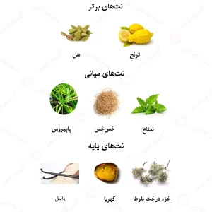 ادکلن مردانه هومیج الهوم وویاژر لالیک