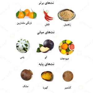 ادکلن یونیسکس نویر پرمیر فروتس دو موومنت لالیک