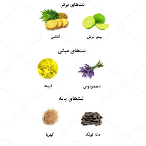 ادکلن یونیسکس نویر پرمیر ترس آروماتیک لالیک