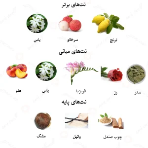 ادکلن زنانه روه د اینفینی لالیک