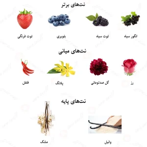 ادکلن زنانه آمیتیس لالیک 