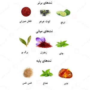 ادکلن مردانه انکر ایندیگو لالیک