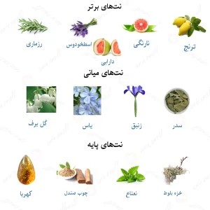 ادکلن مردانه لالیک پور هوم لالیک 