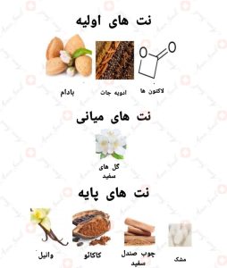 ادکلن یونیسکس اودیسی ادو مانتین آرماف