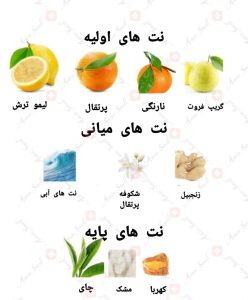 ادکلن یونیسکس اودیسی لیمونی فرش آرماف