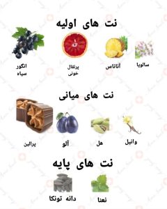 ادکلن یونیسکس اودیسی رولوشن اولترا آرماف
