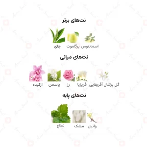 ادکلن زنانه ویکتوریا فلاور الحمبرا
