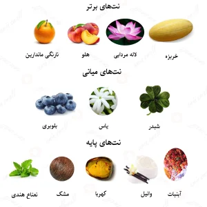 ادکلن زنانه کلر د نیلانگ لالیک