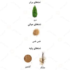 ادکلن مردانه انکر نویر لالیک 