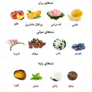 ادکلن زنانه نیلانگ لالیک