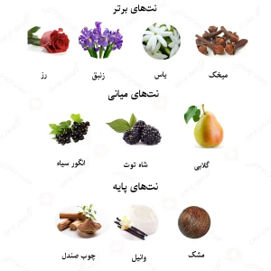 ادکلن زنانه لالیک ادیشن لیمید 2011