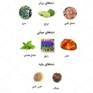 ادکلن زنانه انکر نویر پور اله لالیک