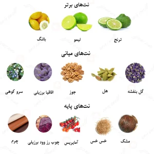 ادکلن مردانه پور هوم ایکوز لالیک