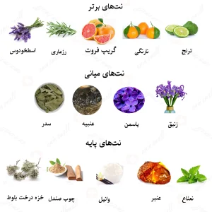 ادکلن مردانه لی فان لالیک 
