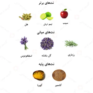 ادکلن مردانه له اینسومیس ما فورس لالیک