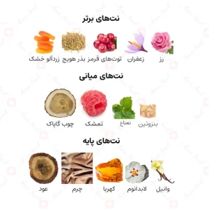 ادکلن یونیسکس یور تاچ لدر الحمبرا