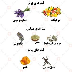 ادکلن یونیسکس روستیک ریوری ولار