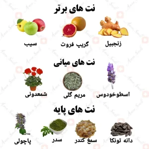 ادکلن مردانه لا نژ پارفوم ولار