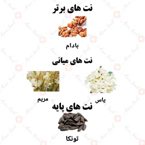 ادکلن دیر گرل ولار