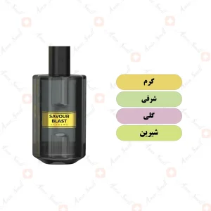 ادکلن مردانه سیور بلاست ولار