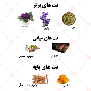 ادکلن یونیسکس سوسایتی 974 ولار 