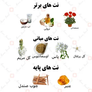 ادکلن زنانه کیمورا فور ومن ولار 