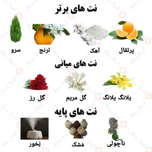 ادکلن یونیسکس تورکویز آیز ولار
