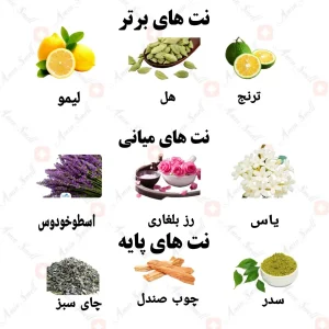 ادکلن یونیسکس ویرگو ورت ولار