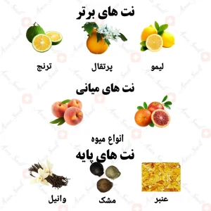 ادکلن یونیسکس استا پورا ولار 