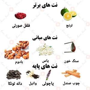 ادکلن مردانه اتنتیک بلک ولار 