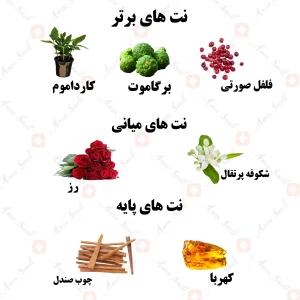 ادکلن یونیسکس اروماتیک بلیس ولار