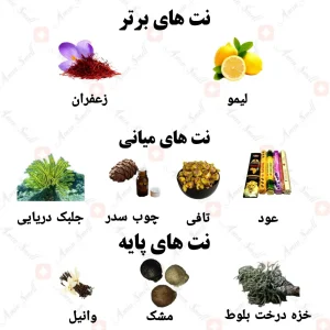 ادکلن یونیسکس اسکارلت سانگ ولار