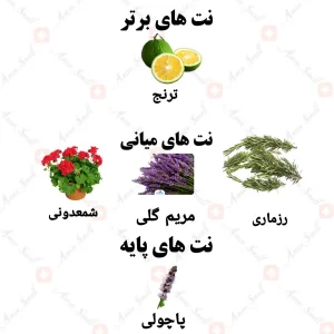 ادکلن مردانه جوردی پروفومو ولار