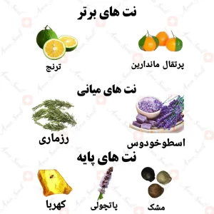 ادکلن مردانه جوردی پروفوندو ولار