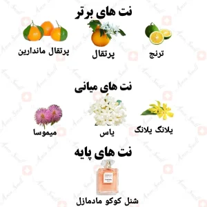 ادکلن زنانه جولت نیش کالکشن ولار