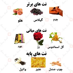 ادکلن یونیسکس سوسایتی 971 ولار 