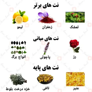 ادکلن یونیسکس سوسایتی 991 ولار